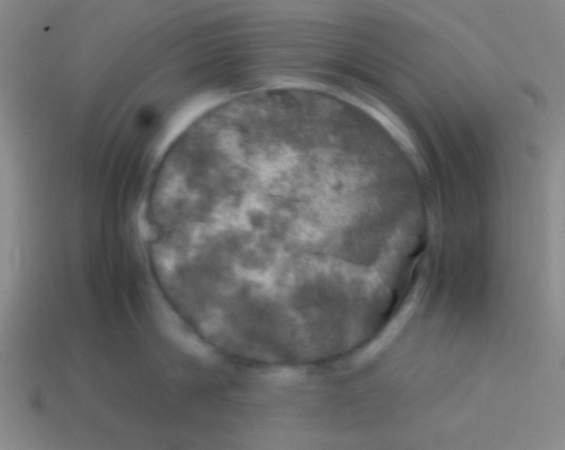 X0000113600814200910161904