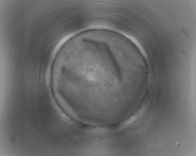 X0000113600815200910161904