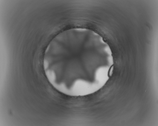 X0000113600817200910161903