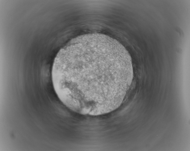 X0000113600818200910161903