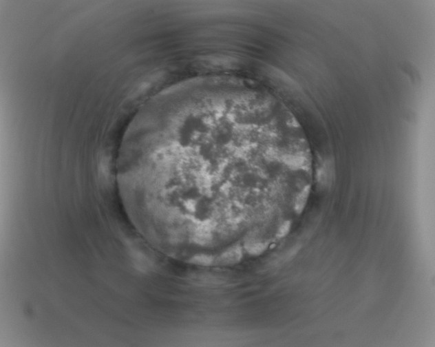 X0000113600819200910161903