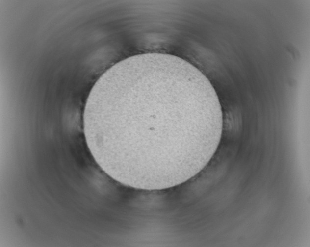 X0000113600820200910161903