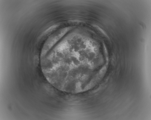 X0000113600821200910161903