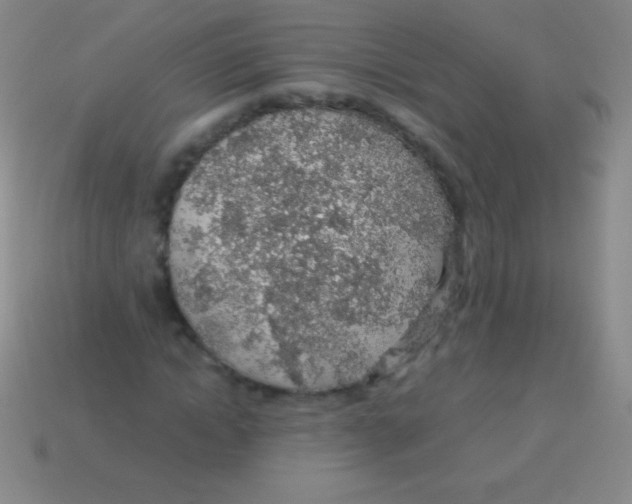 X0000113600822200910161903