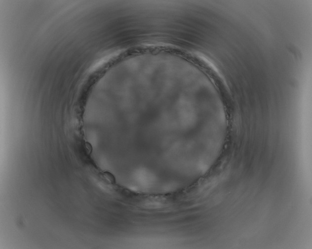 X0000113600823200910161903