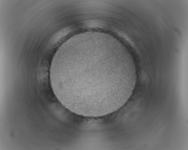 X0000113600824200910161903