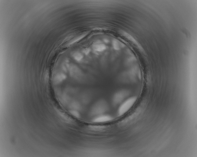 X0000113600825200910161903