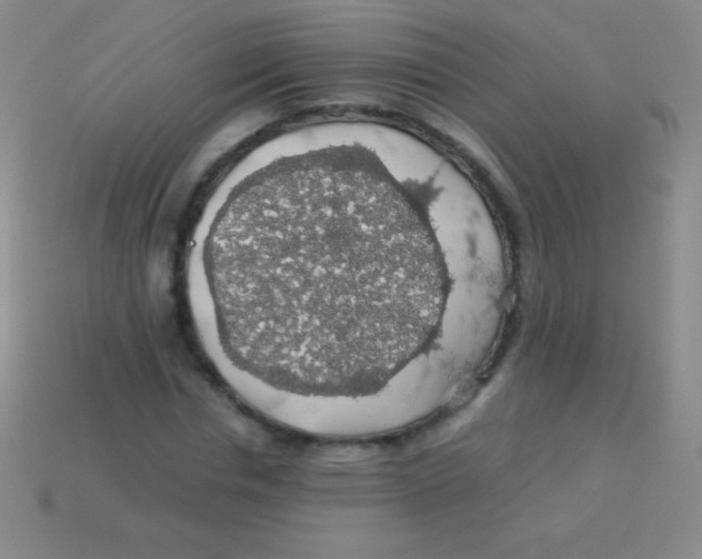 X0000113600826200910161903