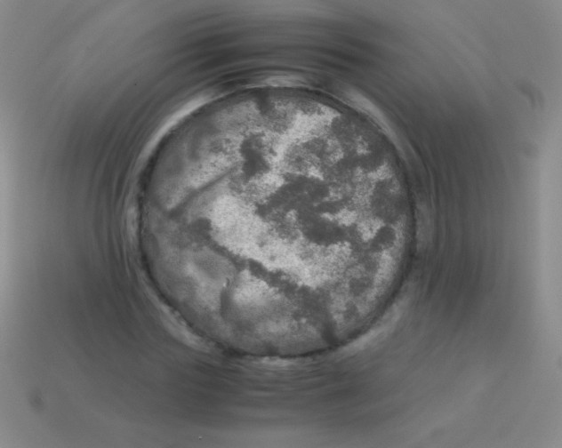 X0000113600827200910161903