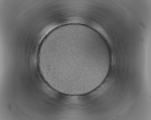 X0000113600828200910161903