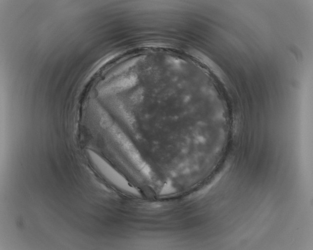 X0000113600829200910161903