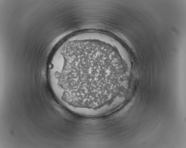 X0000113600830200910161903