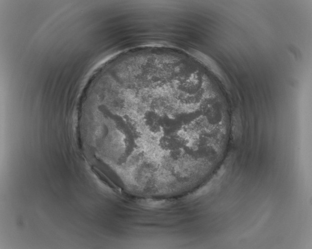 X0000113600831200910161903