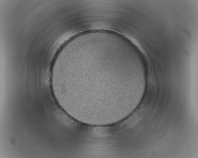 X0000113600832200910161903