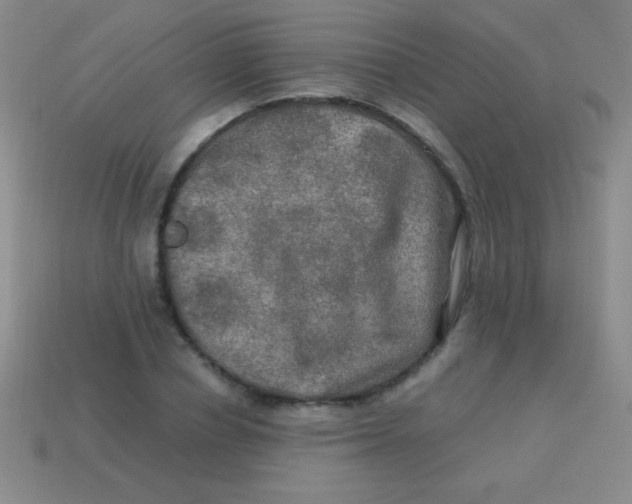 X0000113600834200910161903