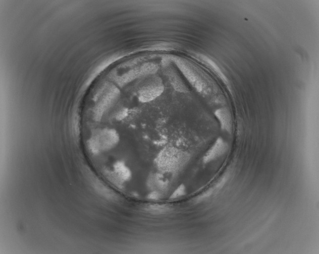 X0000113600835200910161903