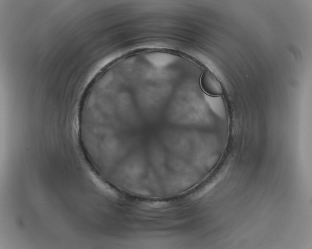 X0000113600837200910161903