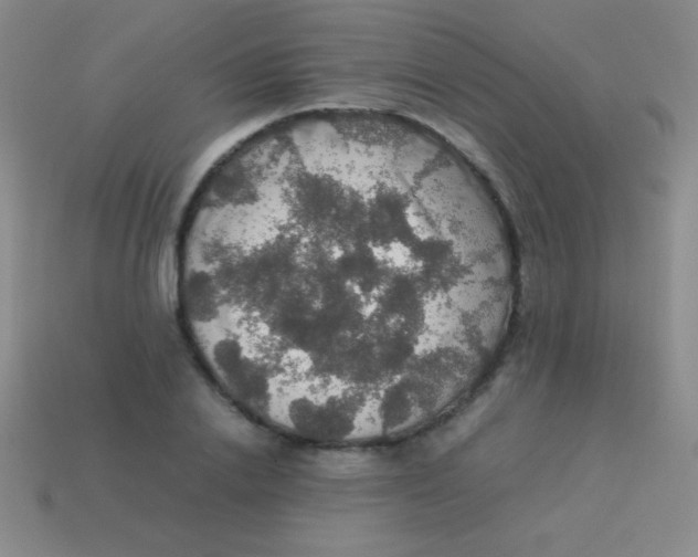 X0000113600838200910161903