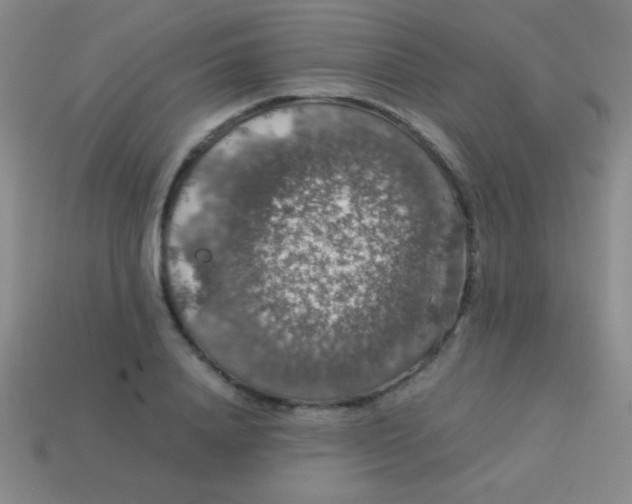 X0000113600840200910161903