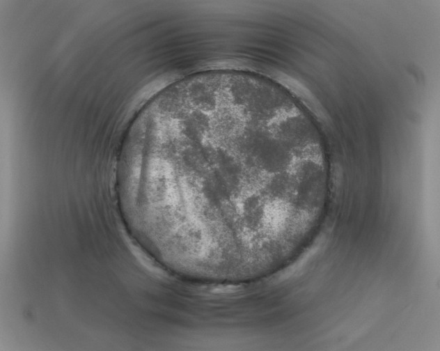 X0000113600841200910161903