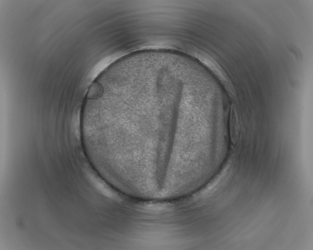 X0000113600842200910161903