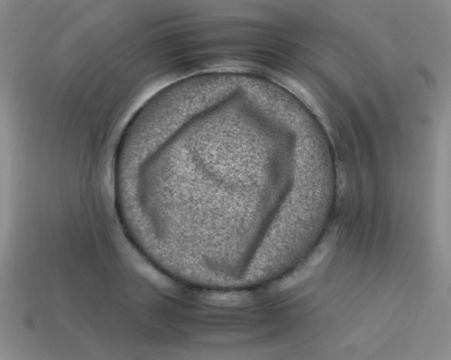 X0000113600843200910161903