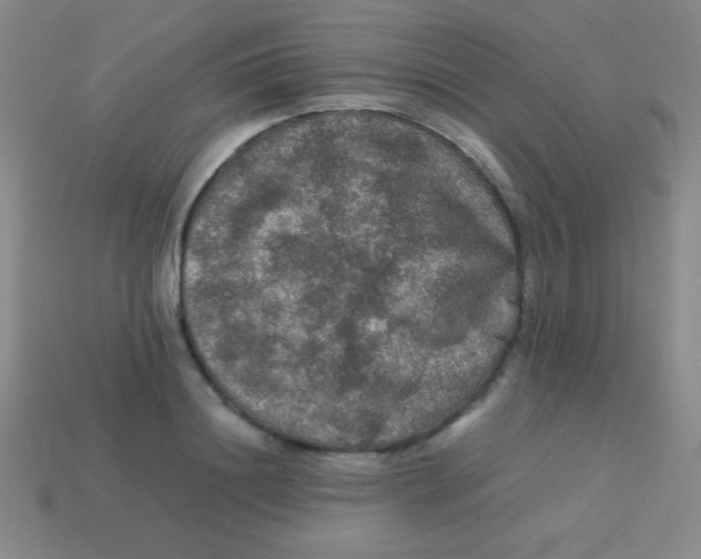 X0000113600844200910161903