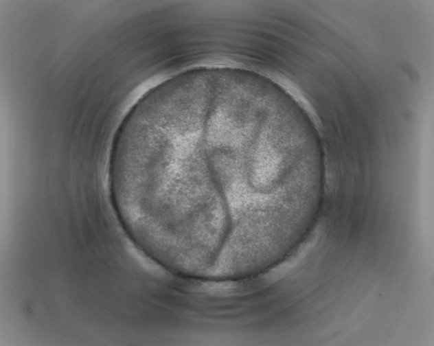 X0000113600845200910161903