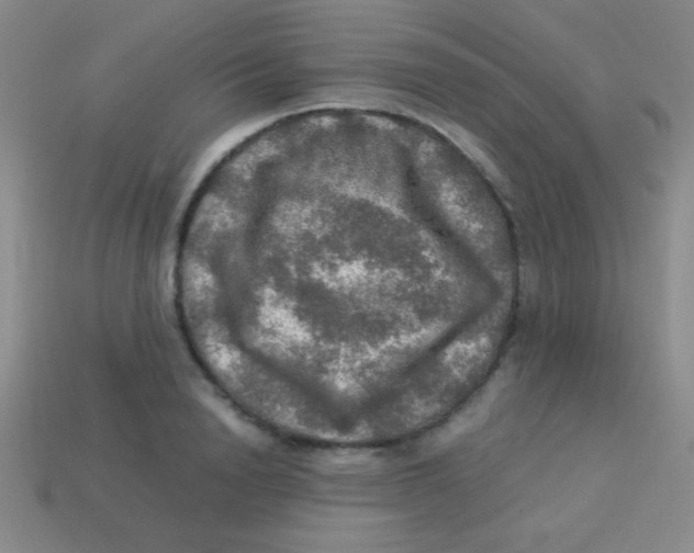 X0000113600846200910161903