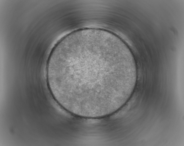 X0000113600848200910161904