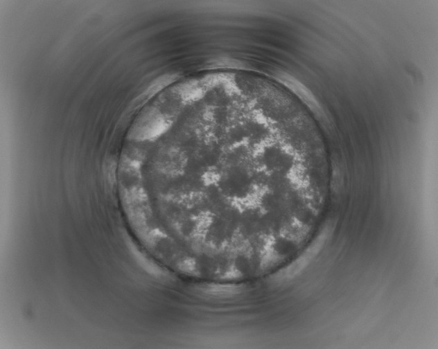 X0000113600849200910161904