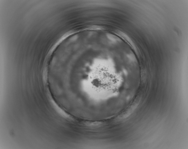 X0000113600851200910161904