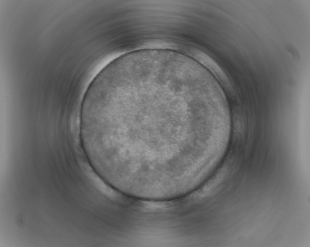 X0000113600852200910161904