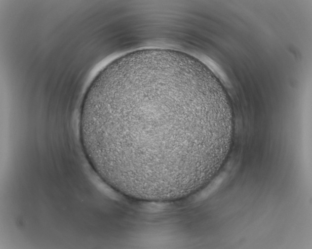 X0000113600854200910161904