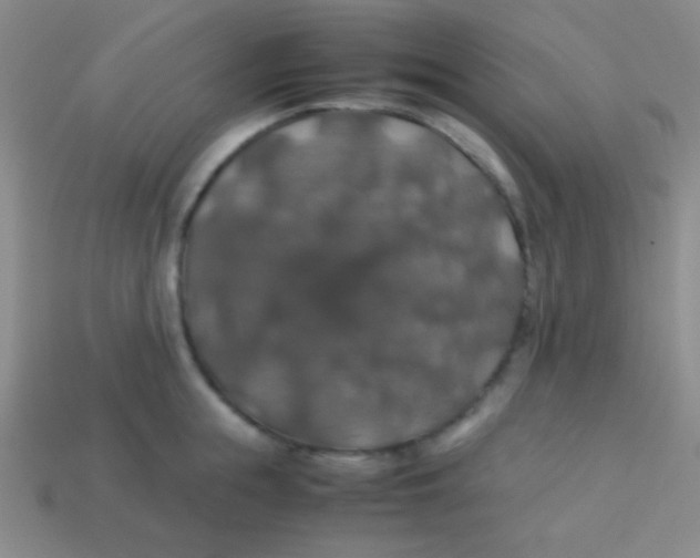 X0000113600855200910161904