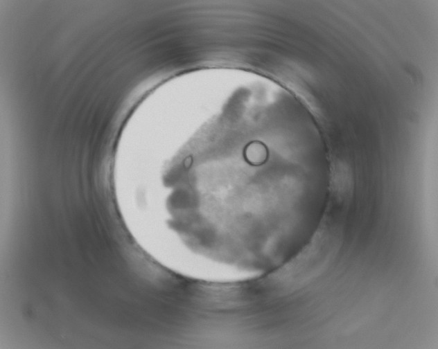 X0000113600856200910161904