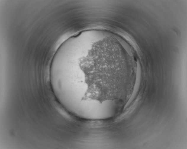 X0000113600858200910161904