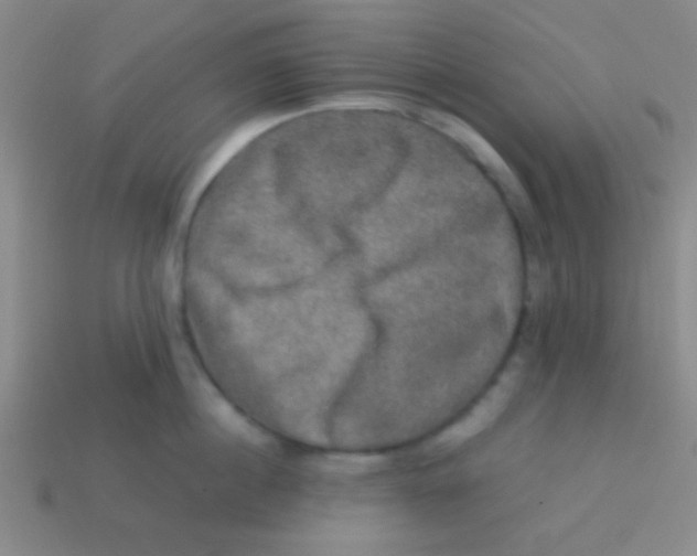 X0000113600860200910161904