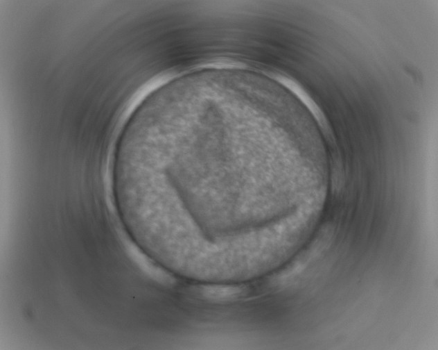 X0000113600861200910161904