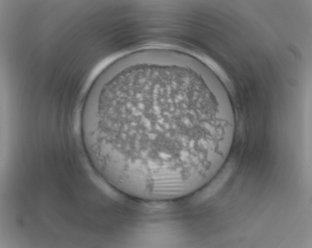 X0000113600862200910161904