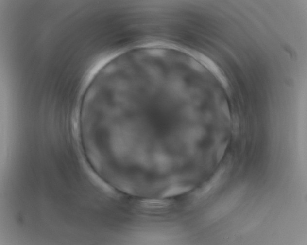 X0000113600863200910161904