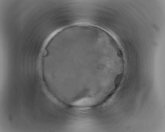 X0000113600864200910161904