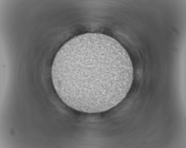 X0000113600865200910161903