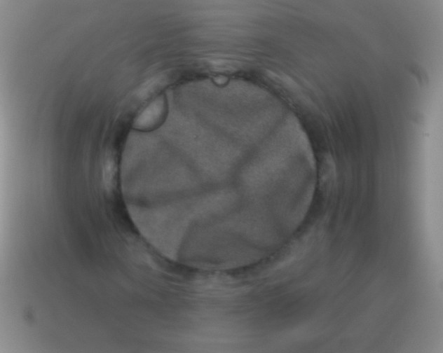 X0000113600866200910161903