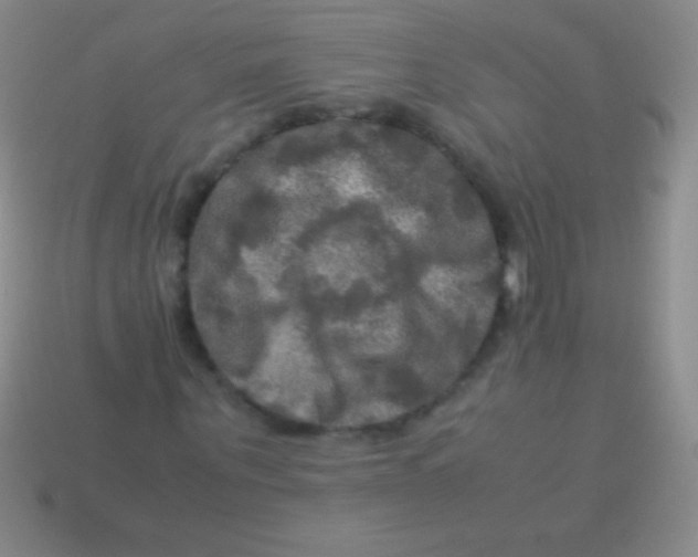 X0000113600867200910161903