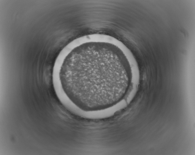 X0000113600868200910161903