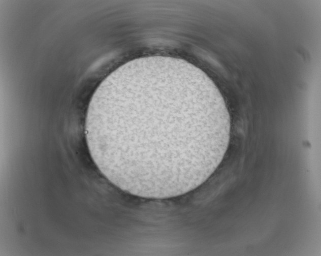 X0000113600869200910161903