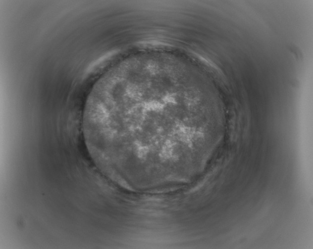 X0000113600870200910161903