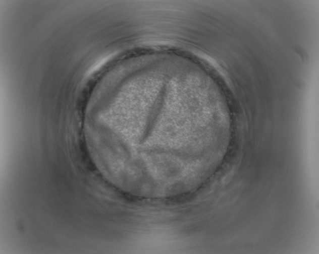 X0000113600871200910161903