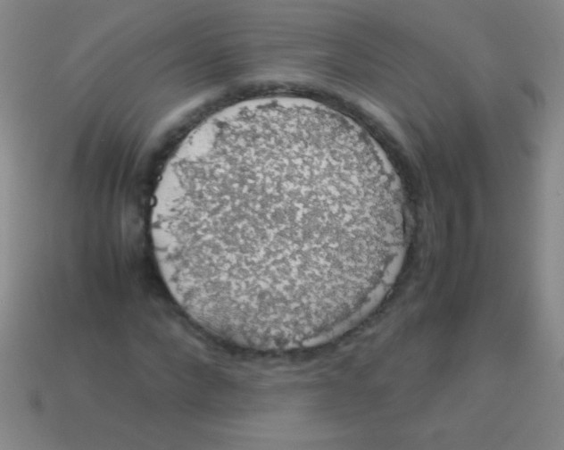 X0000113600872200910161903